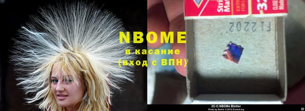 стаф Болохово