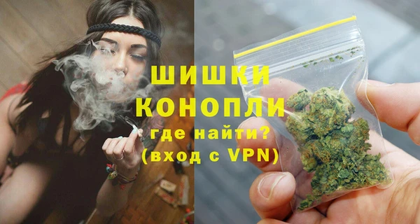 стаф Болохово